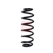 Apec Rear Suspension Coil Spring ACS2155