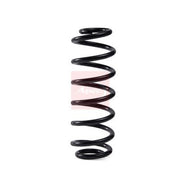 Apec Rear Suspension Coil Spring ACS2155