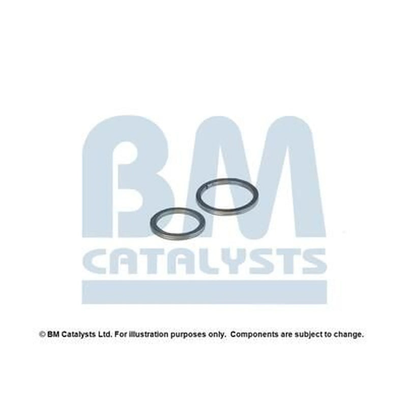 BM Catalysts Fitting Kit FK91911A FK91911A