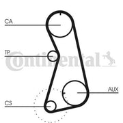 Continental CTAM Timing Belt Kit with Rollers CT848K3