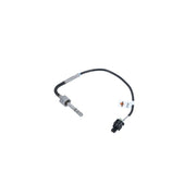 NRF Exhaust Gas Temperature Sensor before soot partic 707095