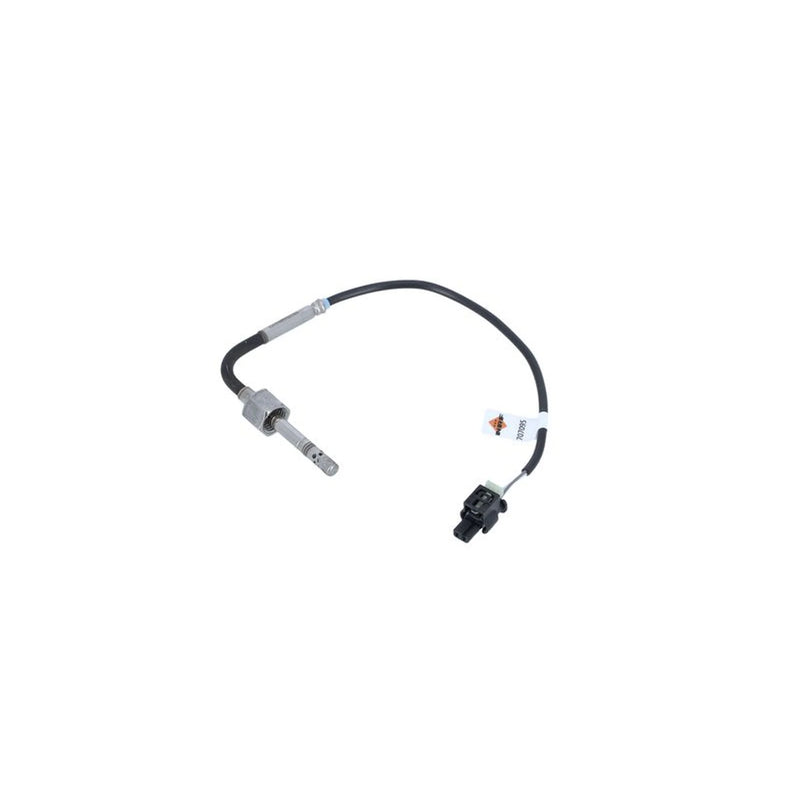 NRF Exhaust Gas Temperature Sensor before soot partic 707095