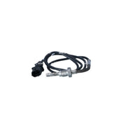 NRF Exhaust Gas Temperature Sensor before soot particulate filter 707301