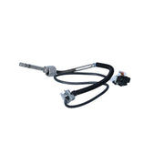 NRF Exhaust Gas Temperature Sensor before soot partic 707281