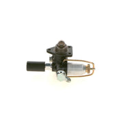 Bosch Fuel Pump Assembly 0 440 008 024