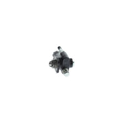 Bosch Fuel Pump Assembly H 105 220 487