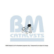 BM Catalysts Exhaust Pipe Mounting Kit FK70313C