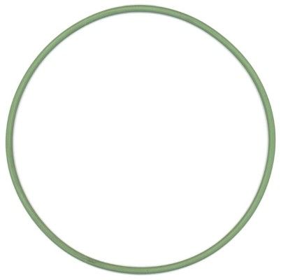 Elring 825.131 Seal Ring