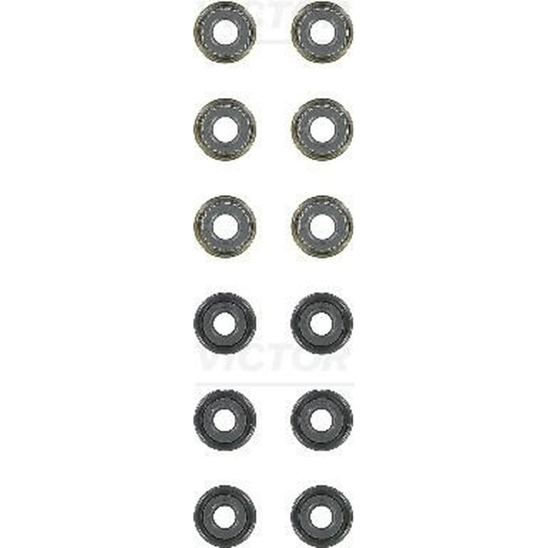 Victor Reinz Valve Stem Seal Set ID High 12-54024-03