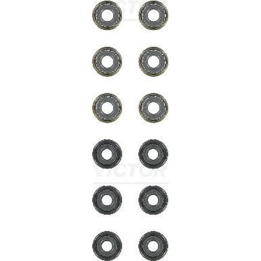 Victor Reinz Valve Stem Seal Set ID High 12-54024-03