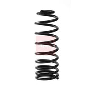 Apec Rear Suspension Coil Spring ACS2354