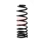 Apec Rear Suspension Coil Spring ACS2354
