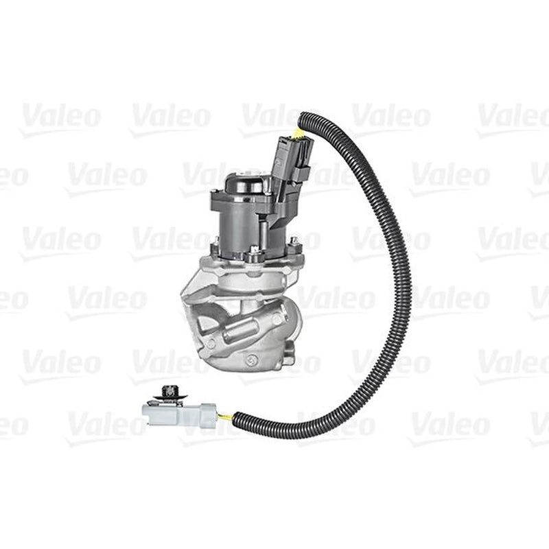 Valeo Exhaust Gas Recirculation Valve 700412