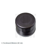 Blue Print Engine Oil Filter ADK82108