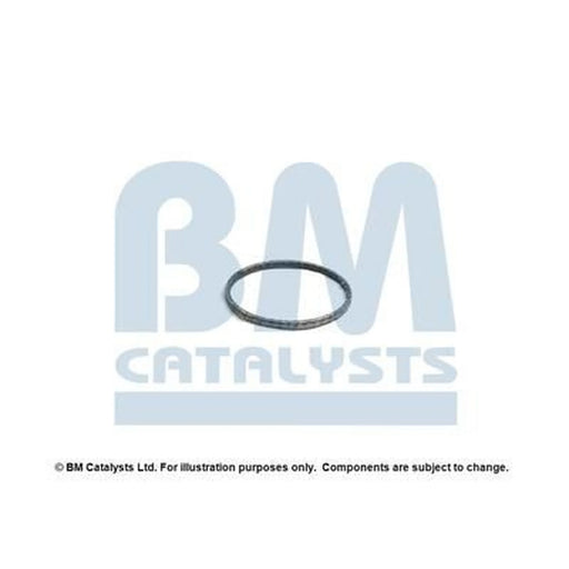 BM Catalysts Fitting Kit FK92647A FK92647A