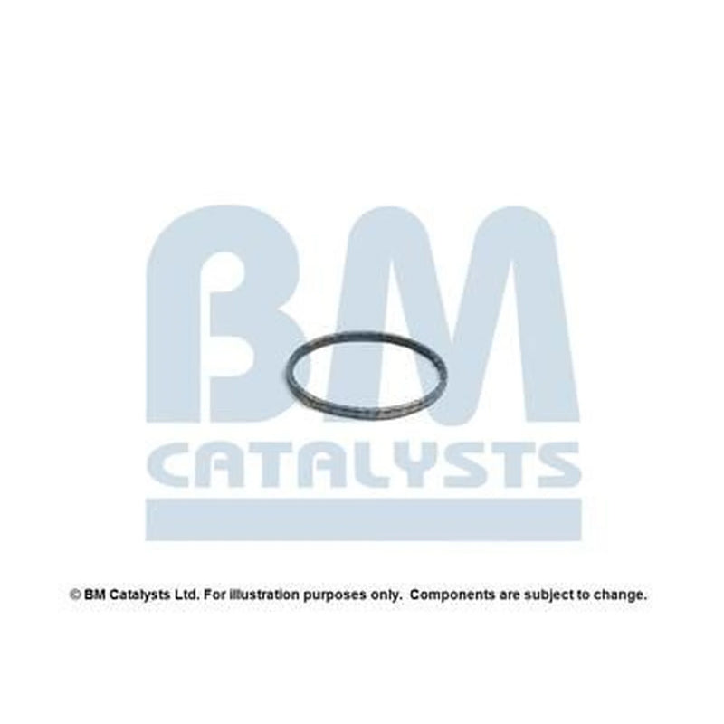 BM Catalysts Fitting Kit FK93004A FK93004A
