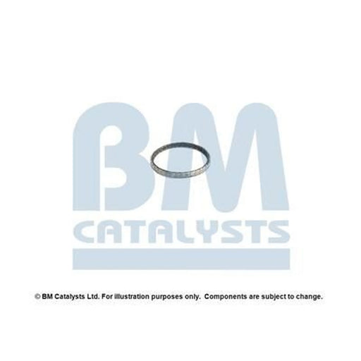 BM Catalysts Fitting Kit FK92516A FK92516A