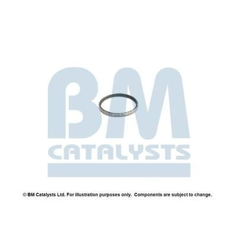 BM Catalysts Fitting Kit FK92469A FK92469A