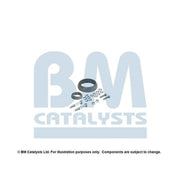 BM Catalysts Fitting Kit FK92089B FK92089B
