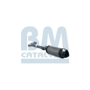 BM Catalysts Dpf BM11169