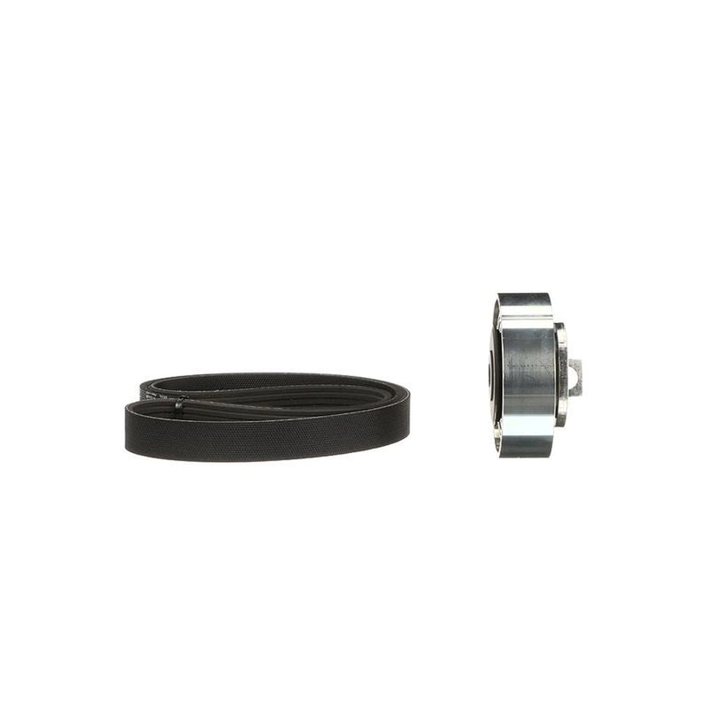 Gates V-Ribbed Belt Set K016PK1130