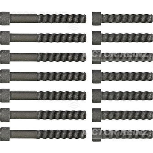 Victor Reinz Cylinder Head Bolt Set M12 14-32039-02