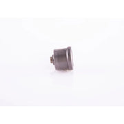 Bosch Engine Control Valve 2 418 554 043