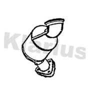 Klarius Catalyst Type Approved With Pipe 323721