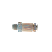 Bosch Fuel Rail Pressure Relief Valve (Common Rail Diesel) 1 110 010 035