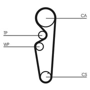 Continental CTAM Timing Belt Cambelt 134 Teeth CT878