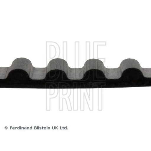 Blue Print Timing Belt Cambelt 117 Teeth ADN17510