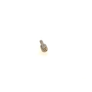 Bosch Fuel Injector Nozzle 0 433 171 979