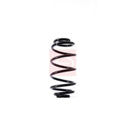 Apec 2 x Suspension Springs ACS1445