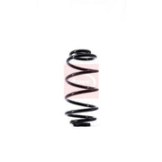 Apec Rear Suspension Coil Spring ACS1445