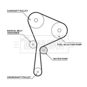 Borg & Beck Timing Belt & Water Pump Kit BTW1074