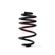 Apec Rear Suspension Coil Spring ACS2294