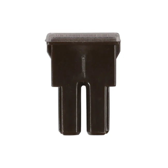 Connect Female PAL Fuses 70A 10pc - CPL
