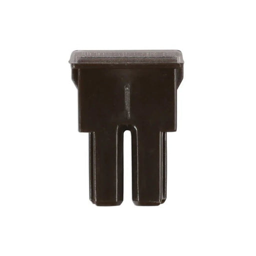 Connect Female PAL Fuses 70A 10pc - CPL