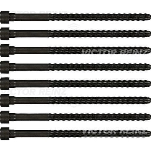 Victor Reinz Cylinder Head Bolt Set M10 14-32198-01