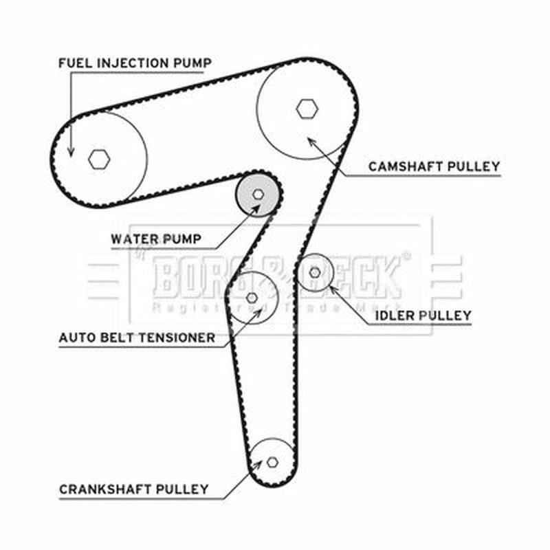 Borg & Beck Timing Belt & Water Pump Kit BTW1021