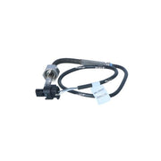 NRF Exhaust Gas Temperature Sensor before soot partic 707323
