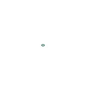 Bosch Rubber Seal Ring 1 928 300 887