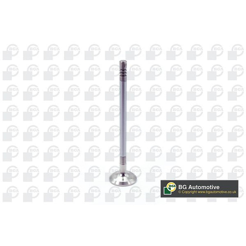 BGA Engine Exhaust Valve 22mm Head V203633