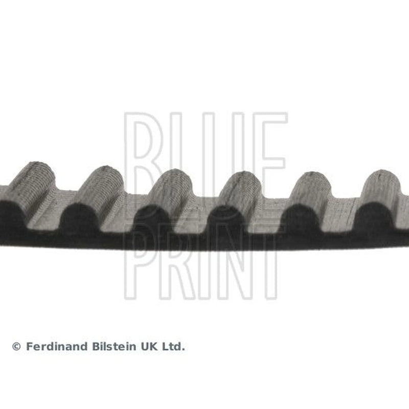 Blue Print Timing Belt Cambelt 123 Teeth ADT37509
