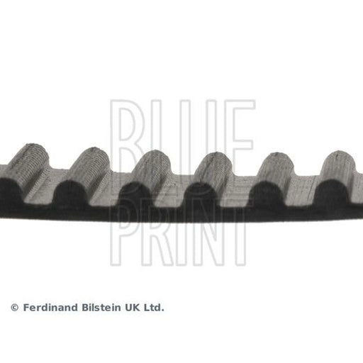 Blue Print Timing Belt Cambelt 123 Teeth ADT37509