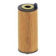 Hengst Engine Oil Filter E258H D379