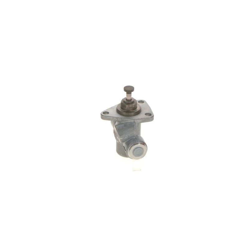 Bosch Fuel Pump Assembly 0 440 008 174