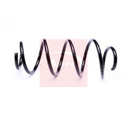Apec Front Suspension Coil Spring ACS2219