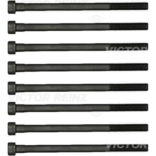 Victor Reinz Cylinder Head Bolt Set M9 14-15557-01
