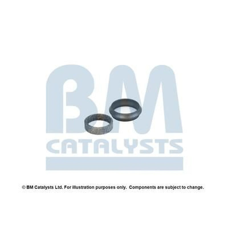 BM Catalysts Fitting Kit FK91165A FK91165A